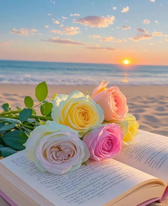 为自己加油打气的句子充满力量的早安励志语录