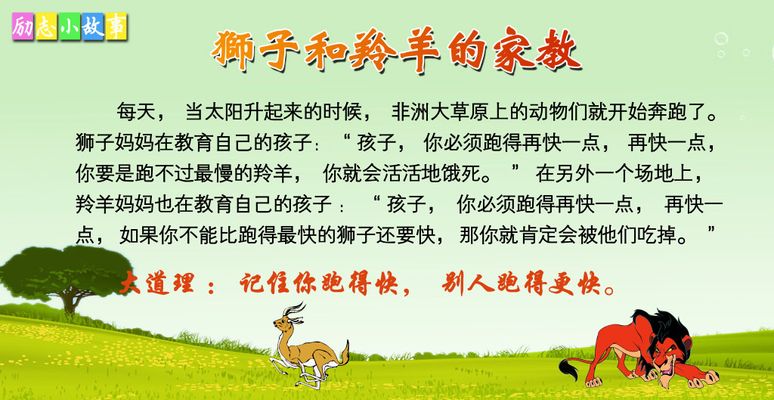别让导盲犬成了“励志故事”的代价