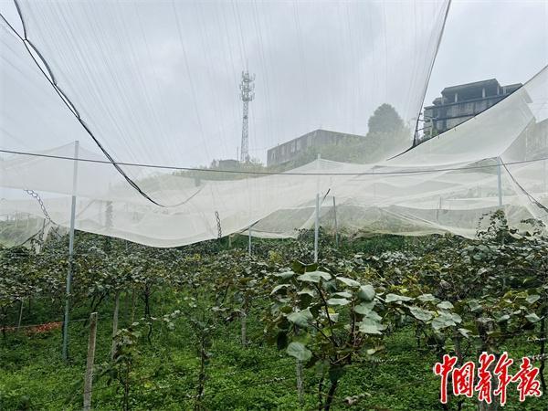 院士专家下乡记：为孩子“摘星”帮土地“点金”