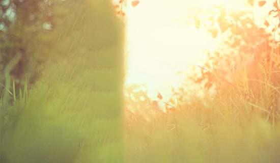 简短的唯美心情的语录集锦100条